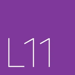 Level 11