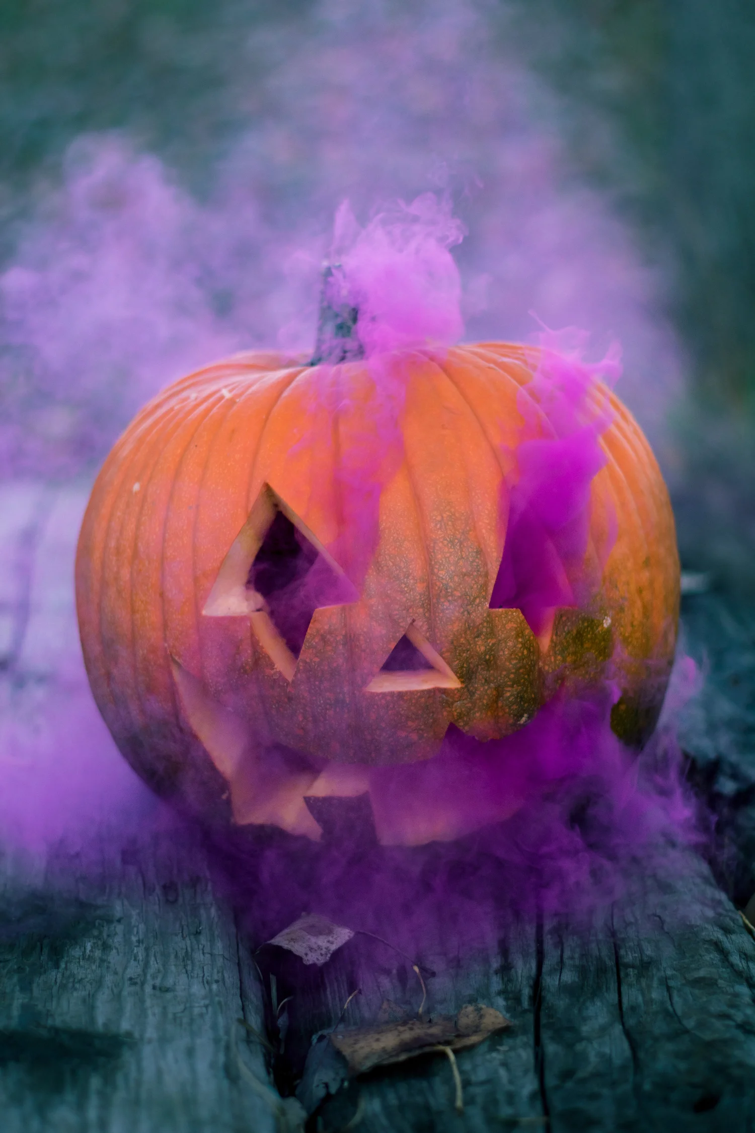 Levelers Get Animated this Halloween!